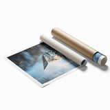 Colorful rolled print showcasing a vibrant 'Birds of Prey' design, featuring detailed illustrations of various birds in flight against a textured background, ideal for wildlife art enthusiasts.