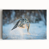 Stretched canvas wall art featuring a vibrant bird design in rich colors, perfect for adding a nature-inspired touch to any home decor.