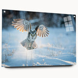 Acrylic glass wall art showcasing a vibrant birds of prey design, elegantly displayed from the side with decorative pins, ideal for nature enthusiasts and home decor.