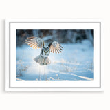 Framed wall art featuring a colorful birds of prey design, showcasing intricate details and vibrant colors, set against a white mat, ideal for modern decor.