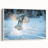 Framed canvas wall art featuring a vibrant bird design from the "Birds of Pray" collection, showcasing intricate details and a sleek white frame, ideal for modern decor.