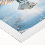 Stunning rolled canvas artwork showcasing a vibrant collection of bird illustrations, perfect for home decor, featuring detailed designs with colorful feathers and natural elements.