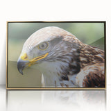 Framed acrylic wall art featuring a stunning collection of birds with intricate designs and a gold border, perfect for enhancing any modern decor.