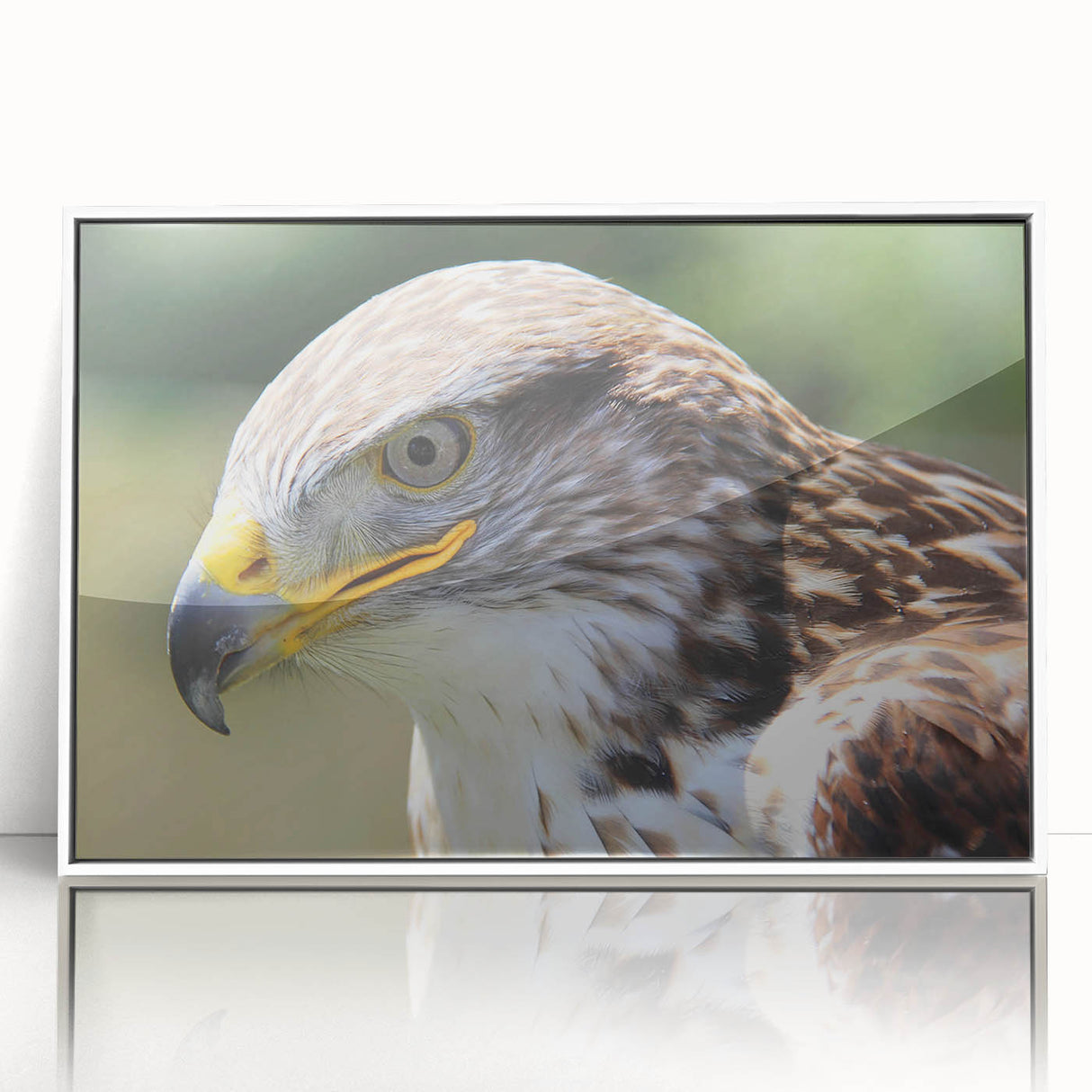 Framed acrylic wall art featuring a captivating design of various birds, showcasing vibrant colors and intricate details, perfect for home decor enhancement.