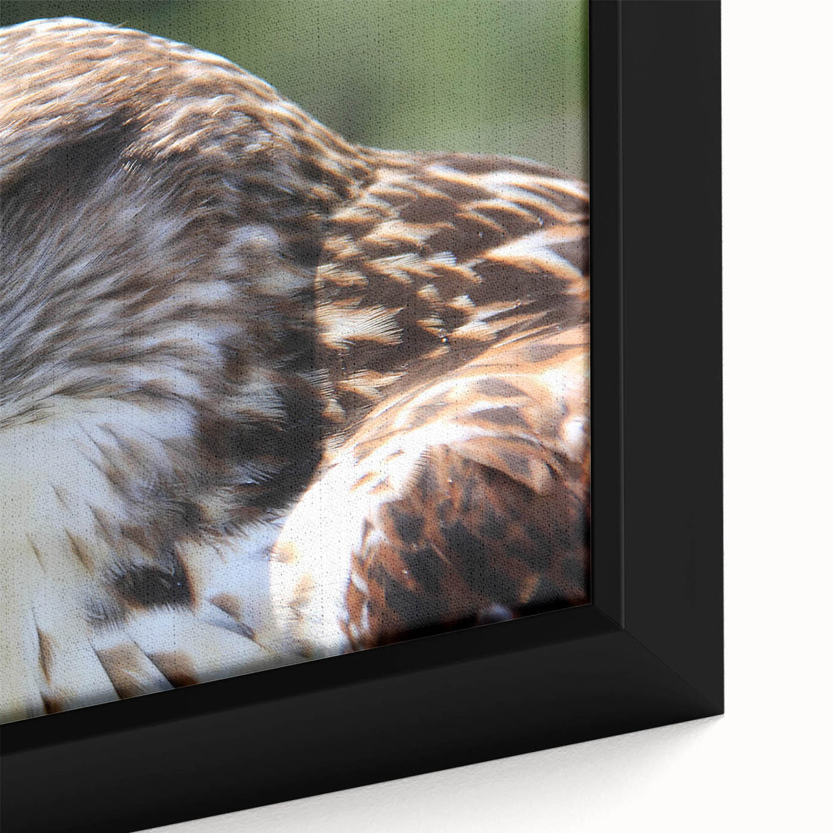 Framed wall art featuring a close-up of colorful birds in flight, showcasing intricate details and vibrant hues, perfect for nature-inspired home decor.