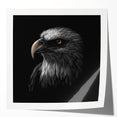 Vibrant wall art print showcasing an intricate design of birds of prey in various dynamic poses, featuring rich colors and glossy finish, perfect for home decor.