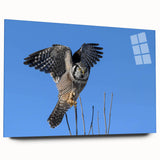 Side view of a sleek acrylic glass wall art piece showcasing a vibrant birds of prey design, perfect for modern home decor, highlighting intricate details and colors.