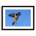Framed wall art featuring a striking design of birds in flight, set in a sleek black frame with a mat, perfect for enhancing modern home decor.