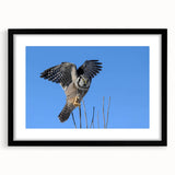 Framed wall art featuring a striking design of birds in flight, set in a sleek black frame with a mat, perfect for enhancing modern home decor.