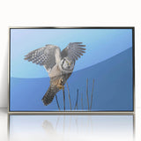 Framed acrylic wall art featuring a vibrant bird design from the "Birds of Pray" collection, showcased in a silver frame, perfect for modern decor.