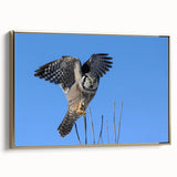 Framed wall art featuring a stunning birds of prey design, showcasing intricate details and vibrant colors on a textured canvas, elegantly displayed in a gold frame.