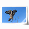 Rolled wall art print showcasing a detailed illustration of various birds, featuring vibrant colors and intricate designs, perfect for home decor enthusiasts.