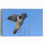 Colorful stretched canvas artwork featuring a vibrant collection of birds, showcasing intricate designs and patterns, ideal for modern home decor.