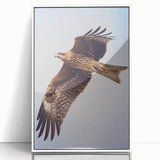 Framed acrylic wall art featuring a vibrant birds of prey design, showcasing detailed illustrations with a white frame, perfect for enhancing home decor.