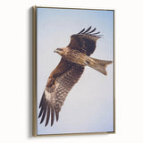 Framed wall art featuring a vibrant birds of prey design, showcasing detailed illustrations of raptors in a gold frame, perfect for nature enthusiasts and home decor.