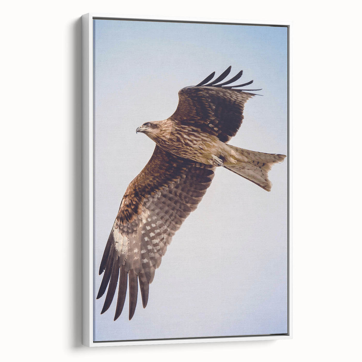 Framed wall art collection showcasing a vibrant design of birds in flight, featuring a white border and modern aesthetic, perfect for home decor enhancement.