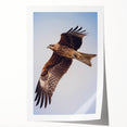 Colorful wall art print showcasing a vibrant design of various birds, emphasizing intricate details and textures, ideal for enhancing any living space or office decor.