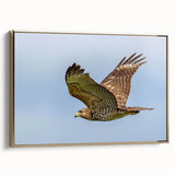 Framed wall art showcasing a stylish bird-of-prey design in gold, set against a sleek canvas background, perfect for modern home decor. Ideal for bird enthusiasts and art lovers.