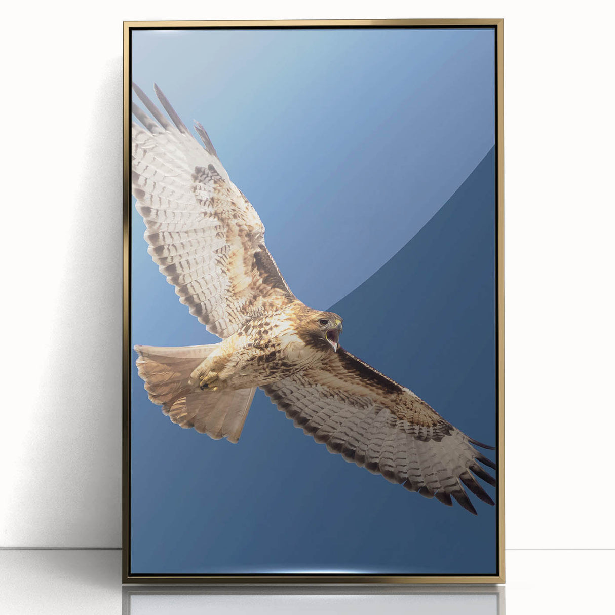 Framed wall art featuring a captivating design of birds, elegantly showcased in a gold-accented acrylic frame. Perfect for nature-inspired home decor.