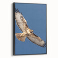 Framed canvas wall art showcasing a striking design of birds in flight, featuring vibrant colors and detailed textures against a sleek black frame, ideal for home decor.