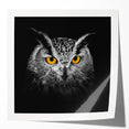Glossy wall art print showcasing a vibrant collection of birds of prey, featuring detailed illustrations and rich colors, perfect for nature enthusiasts.