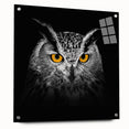 Acrylic glass wall art design featuring vibrant birds from the "Birds of Pray" collection, showcasing detailed illustrations and elegant side view with pins for easy display.