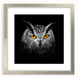Framed wall art featuring a silver mat and a vibrant birds of prey design, showcasing intricate details and colors, ideal for enhancing home decor.