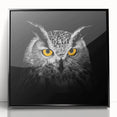 Framed acrylic wall art featuring a vibrant "Birds of Pray" design, showcasing colorful birds in flight against a sleek black background, perfect for modern decor.