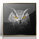 Framed wall art featuring a vibrant "Birds of Pray" design with gold accents, showcasing various bird species against a sleek acrylic background, perfect for home decor.