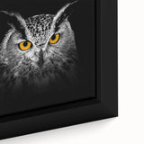 Close-up of a framed canvas wall art piece depicting a colorful bird design, showcasing intricate details and vibrant hues, perfect for enhancing interior decor.