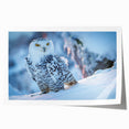 Colorful rolled print featuring a vibrant birds of prey design, showcasing intricate details and textures, perfect for home decor or art enthusiasts.