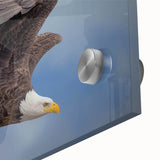 Close-up of a vibrant acrylic glass artwork featuring a collection of colorful birds, showcasing intricate details and vivid hues against a smooth background, perfect for home decor.