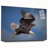 Side view of the Birds of Prey design wall art collection displayed in a sleek acrylic frame, showcasing vibrant colors and intricate details, perfect for bird lovers and home decor enthusiasts.