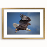 Framed wall art collection featuring a gold-bordered design of birds, showcasing intricate details and vibrant colors, ideal for home decor enhancement.