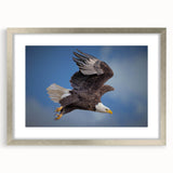 Silver-framed wall art featuring a collection of majestic birds, elegantly displayed with a mat, perfect for enhancing home decor with a touch of nature.