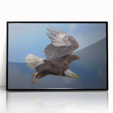 Framed wall art featuring a stunning design of various birds, crafted in a sleek black frame, perfect for modern home decor. Ideal for nature lovers and art enthusiasts.