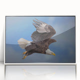 Framed acrylic wall art featuring a vibrant birds of prey design, showcasing intricate details and colorful feathers, perfect for enhancing any modern decor.