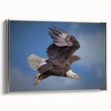 Framed wall art collection featuring a striking birds of prey design on a textured canvas, showcased against a sleek silver frame, ideal for nature enthusiasts.