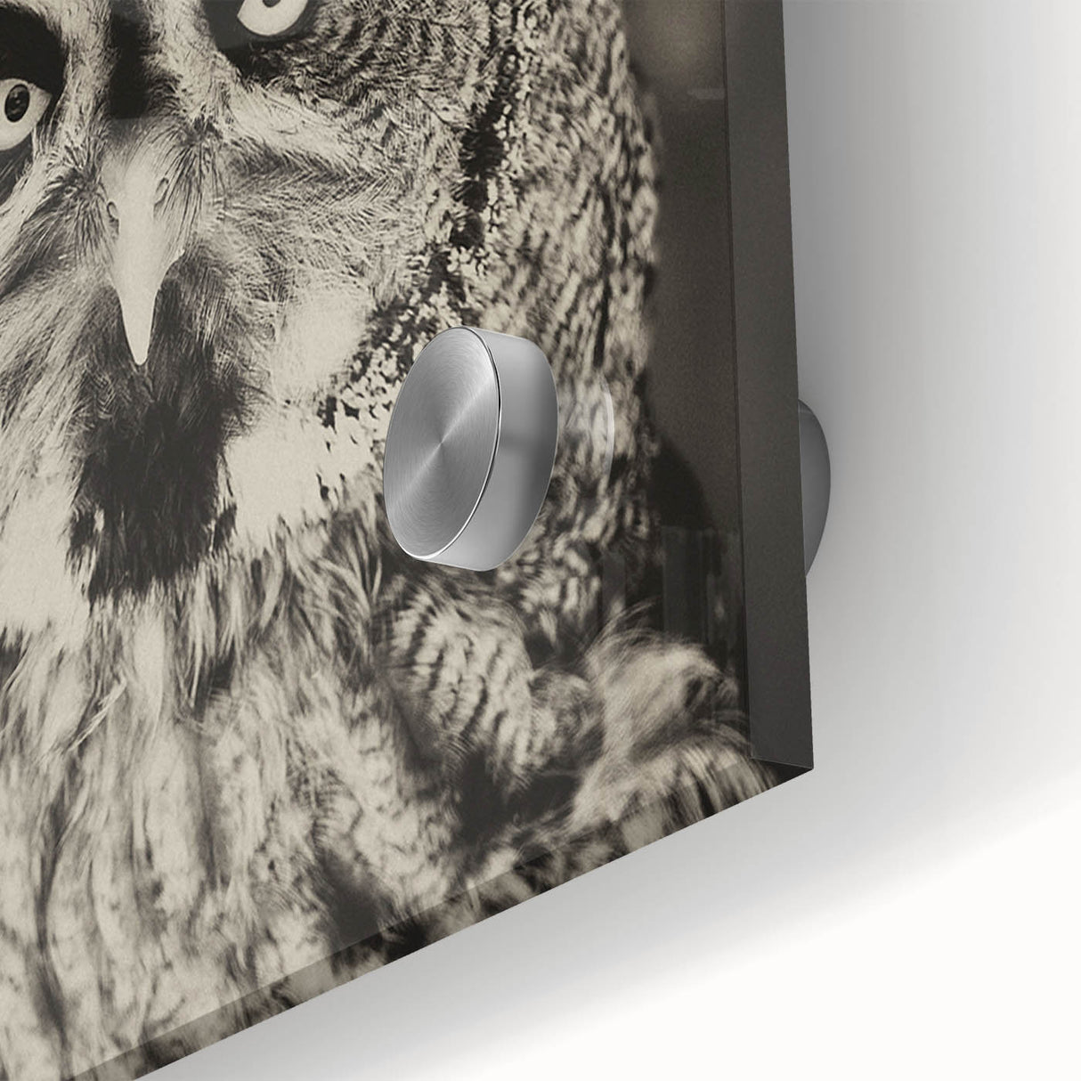Close-up of a vibrant acrylic glass wall art piece showcasing a detailed bird design, ideal for home decor, enhancing interior spaces with color and elegance.