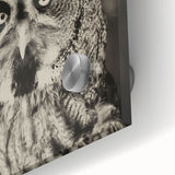 Close-up of a vibrant acrylic glass wall art piece showcasing a detailed bird design, ideal for home decor, enhancing interior spaces with color and elegance.