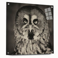 Acrylic glass wall art featuring a vibrant "Birds of Prey" design, showcasing detailed bird illustrations mounted with pins, perfect for modern decor.