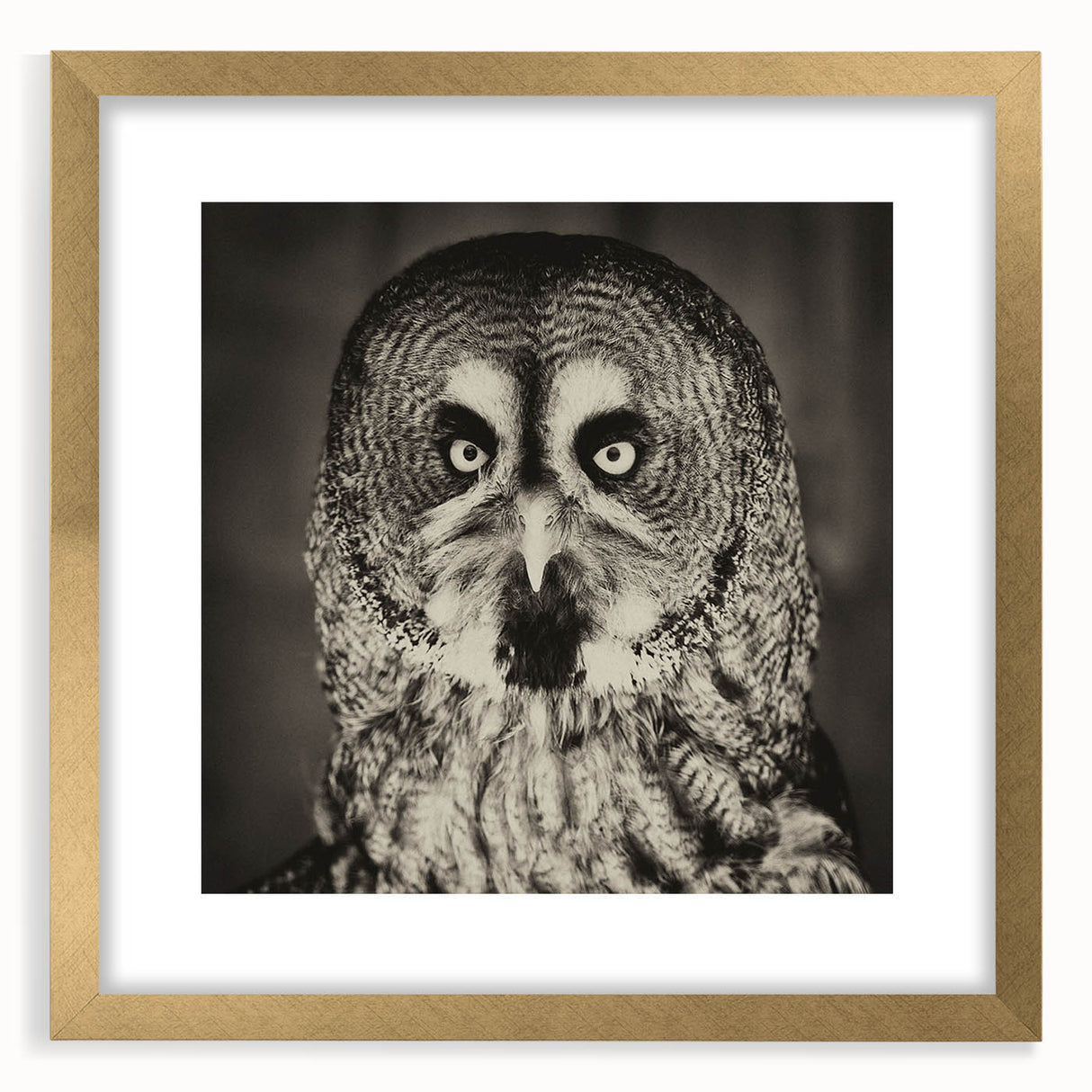 Framed wall art featuring a stylized birds of prey design in gold and neutral tones, elegantly displayed with a mat, perfect for modern home decor.