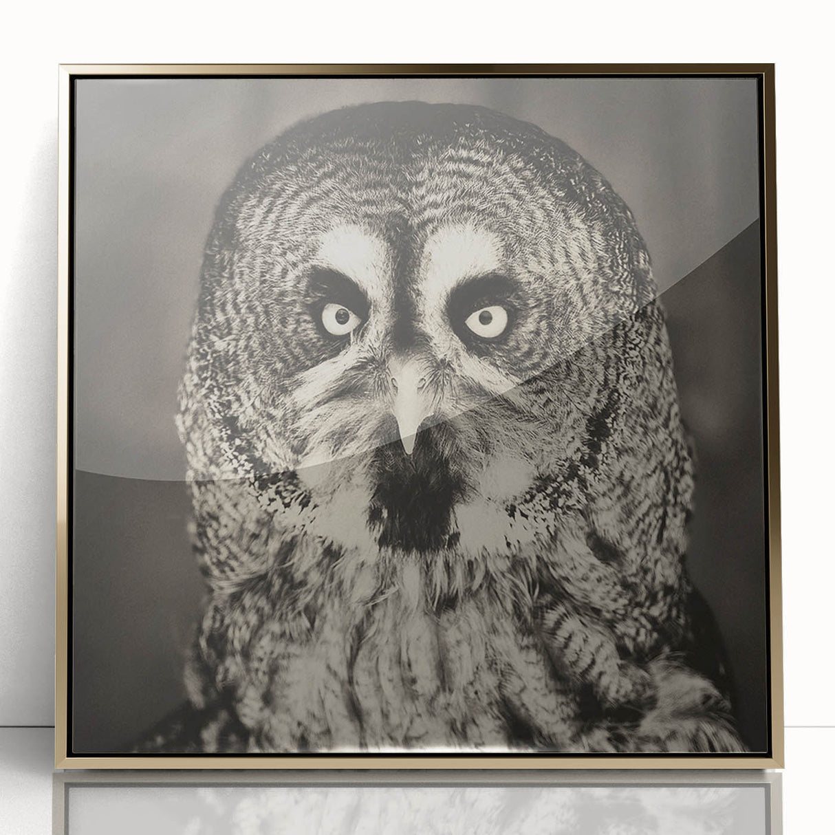 Framed acrylic wall art featuring a striking gold and black birds design, showcasing intricate details in a modern aesthetic, perfect for home decor enhancement.