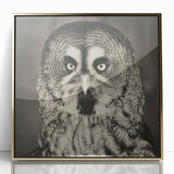 Framed acrylic wall art featuring a striking gold and black birds design, showcasing intricate details in a modern aesthetic, perfect for home decor enhancement.
