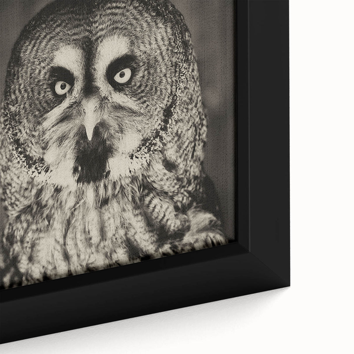 Framed close-up of a vibrant wall art piece featuring a detailed bird design in bright colors, ideal for adding a touch of nature-inspired elegance to home decor.