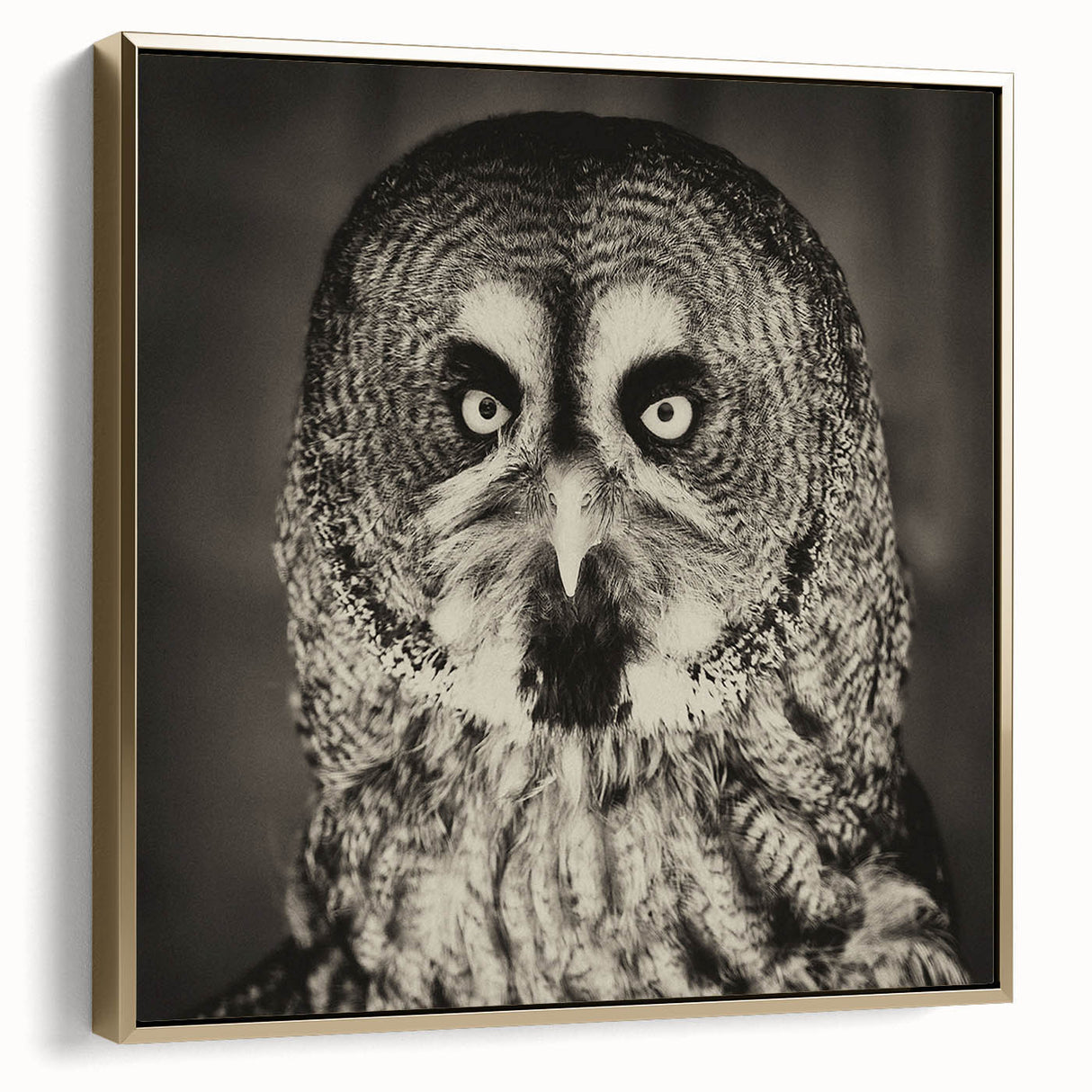 Framed canvas wall art showcasing a vibrant birds of prey design, featuring intricate details and a gold frame. Ideal for enhancing home decor with a touch of nature.