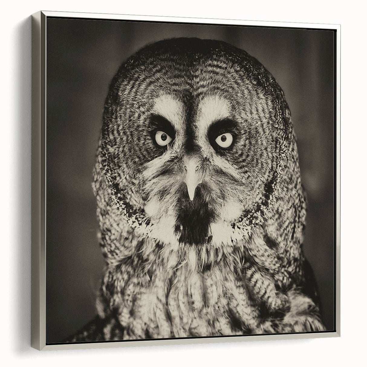 Framed wall art showcasing a silver-bordered canvas print of a bird-themed design, highlighting intricate details and vibrant colors, ideal for home decor.