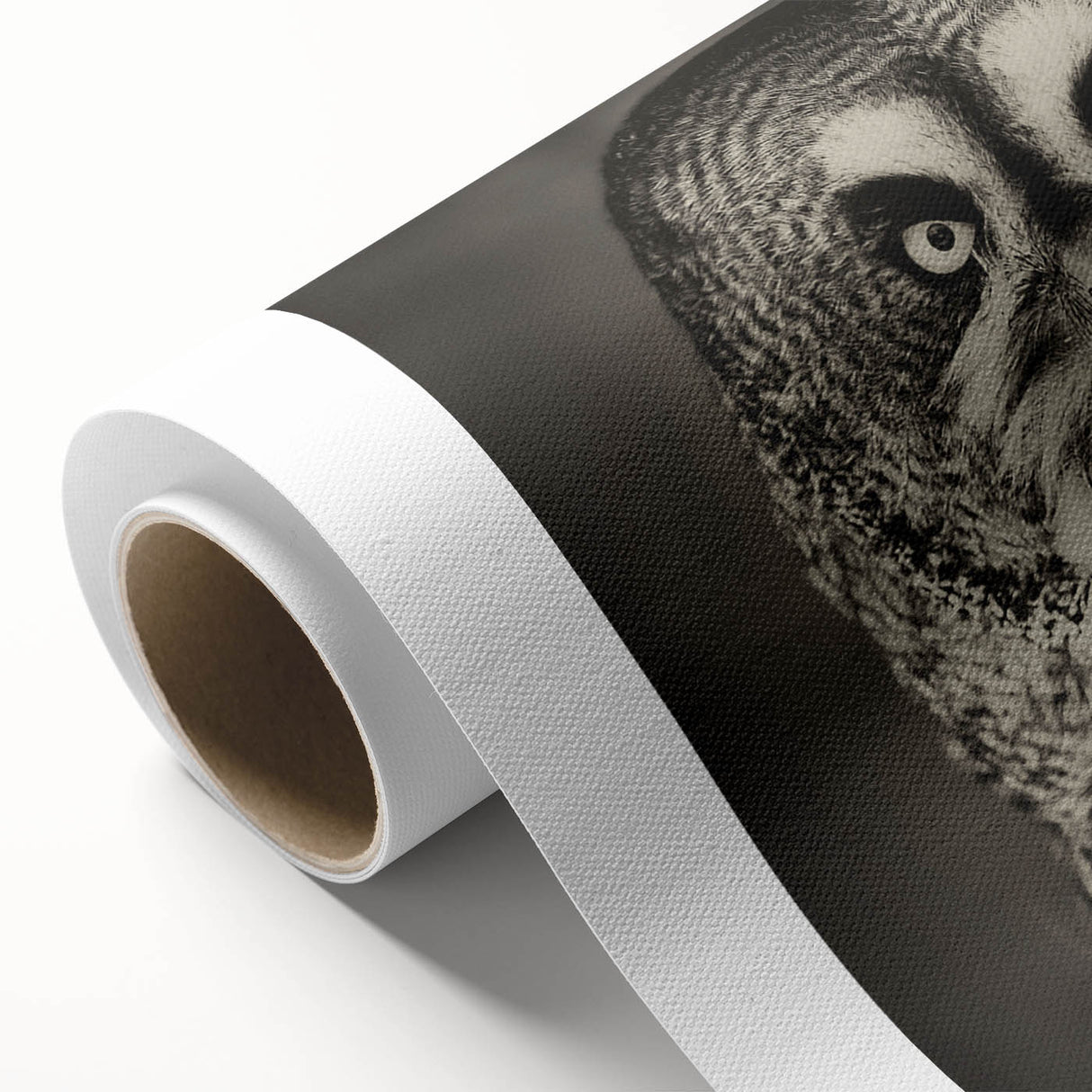 Rolled canvas wall art showcasing a vibrant and intricate birds of prey design, featuring detailed feather patterns on a rich background, ideal for nature enthusiasts.