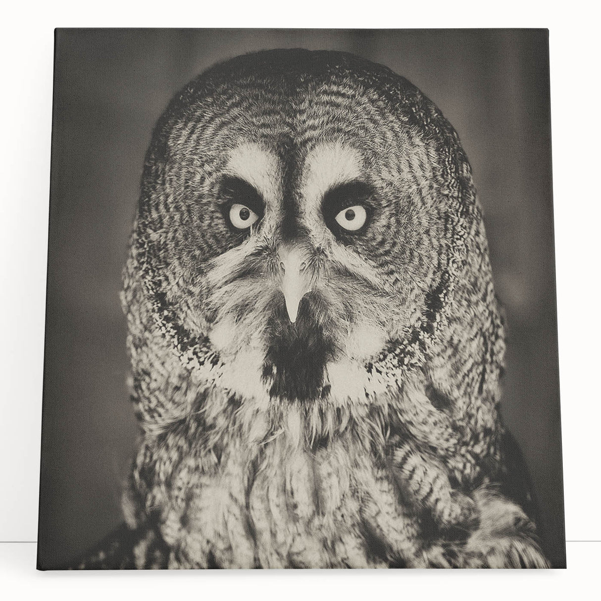 Stretched canvas wall art showcasing a vibrant bird design with intricate details and colors, perfect for home decor and enhancing living spaces.