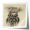 Stylish wall art collection featuring various bird designs, showcased in a glossy finish, perfect for home decor enthusiasts seeking unique, nature-inspired pieces.